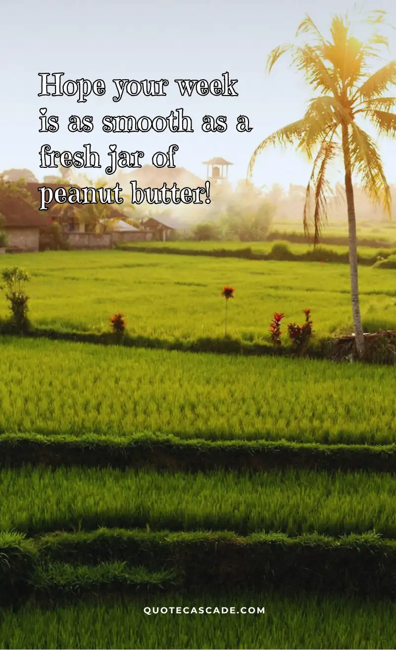 The Perfect Way To Say “Have A Great Week!” (32 Messages)