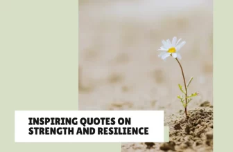 Quotes About Strength and Resilience to Keep You Going