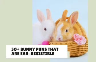 50 Ear-Resistible Bunny Puns You’ve Gotta Check Out