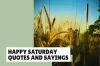 Happy Saturday Quotes and Sayings