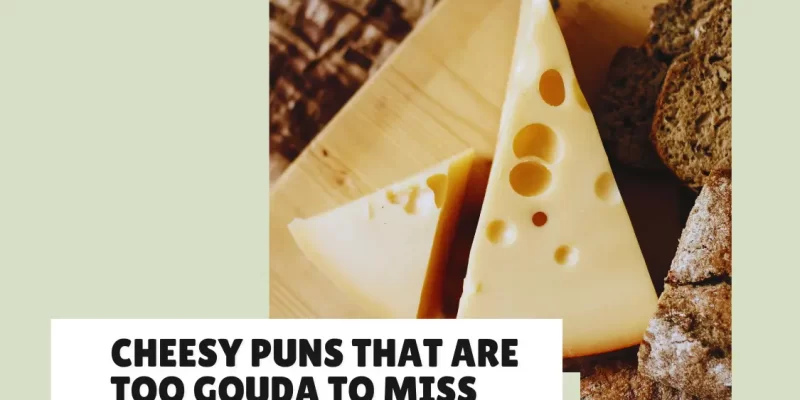 63 Cheesy Puns That Are Too Gouda to Miss