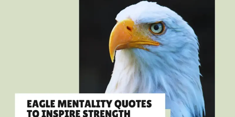 30 Original Eagle Mentality Quotes to Inspire Strength, Vision, and Resilience
