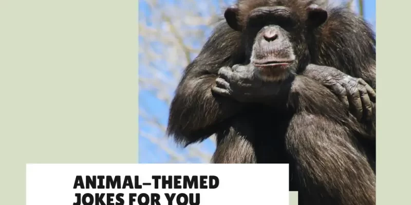 Funny Animal Jokes: The #1 List to Make You Roar
