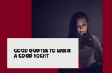 Good Quotes to wish a Good Night
