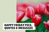 Happy Friday Pics & Messages to Share With Anyone