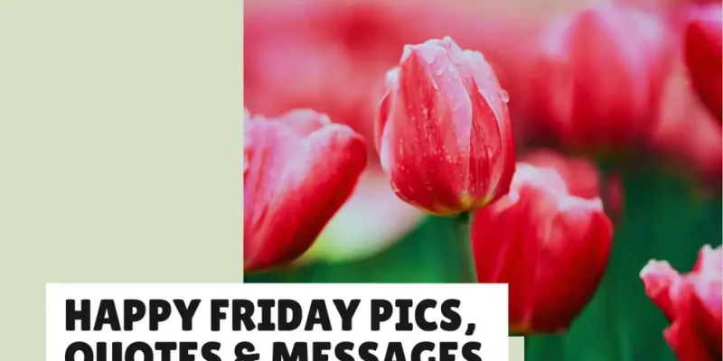 Happy Friday Pics & Messages to Share With Anyone