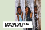 Happy New Year Wishes for Your Brother