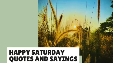 Happy Saturday Quotes and Sayings