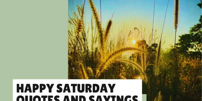 Happy Saturday Quotes and Sayings