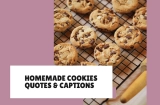 Homemade Cookies Quotes & Captions