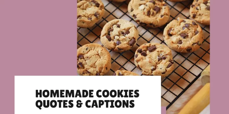 Homemade Cookies Quotes & Captions