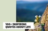 100+ Inspiring Quotes About Life You Need to Read