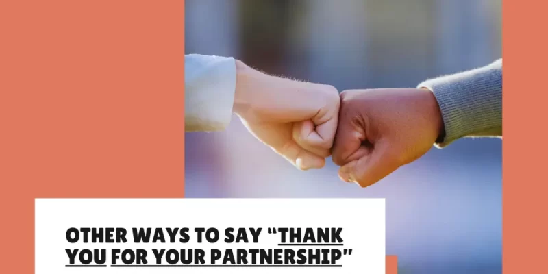 29+ Other ways to say “Thank You for Your Partnership” (+ Messages)