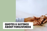 Quotes & Sayings About Forgiveness