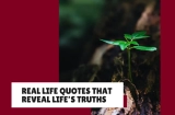 29+ Real Life Quotes That Reflect Both Harsh & Beautiful Truths