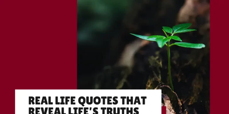 29+ Real Life Quotes That Reflect Both Harsh & Beautiful Truths