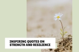 Quotes About Strength and Resilience to Keep You Going