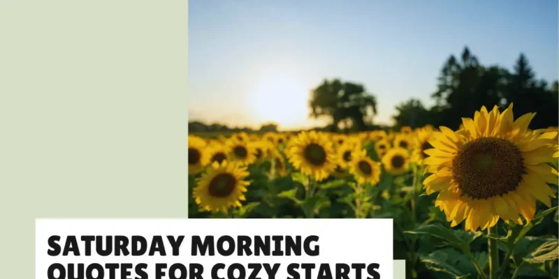 Saturday Morning Quotes for Cozy Starts (30+ Quotes)