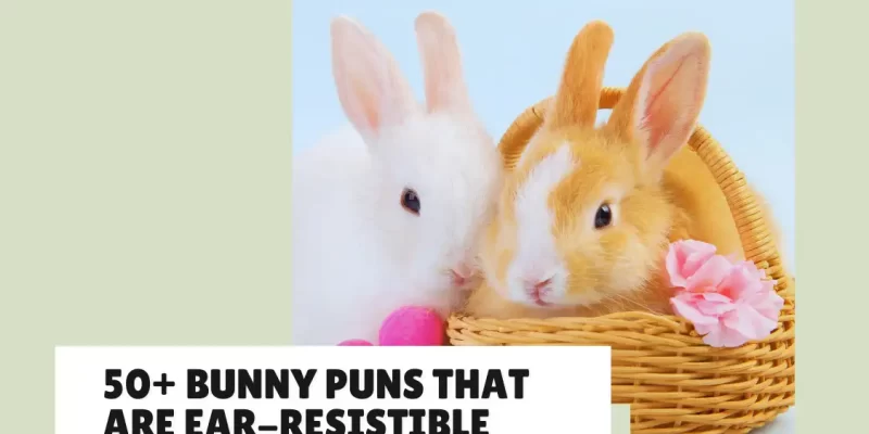 50 Ear-Resistible Bunny Puns You’ve Gotta Check Out