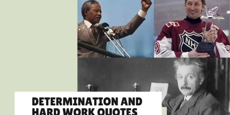 29 Determination and Hard Work Quotes by Famous People