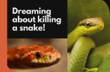 Dreaming About Killing a Snake: What does it Mean?