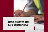 Best Quotes on Life Insurance (Safety First!)